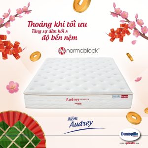 Nệm Lò Xo Normlock Audrey