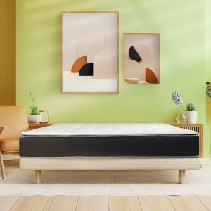 Đệm bông ép Top Plus