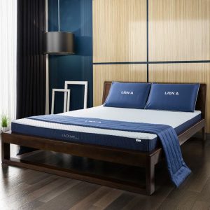 NỆM CAO SU L'ADOME BLUE