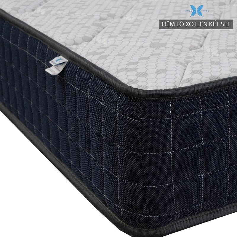Nệm lò xo See - Ảnh 5