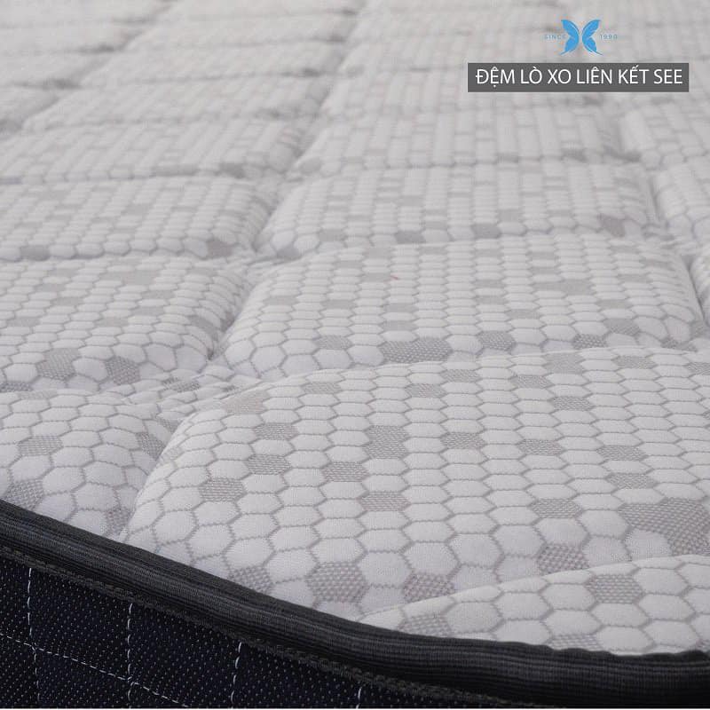 Nệm lò xo See - Ảnh 3