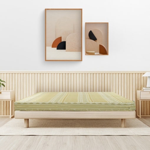 Đệm bông ép Artemis