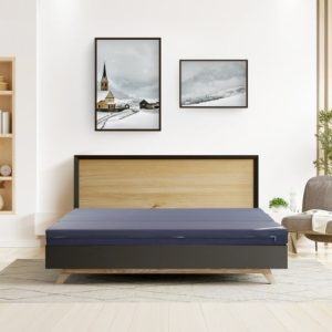 Đệm chống trượt Everon