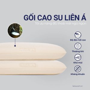 Gối caosu tự nhiên Liên Á