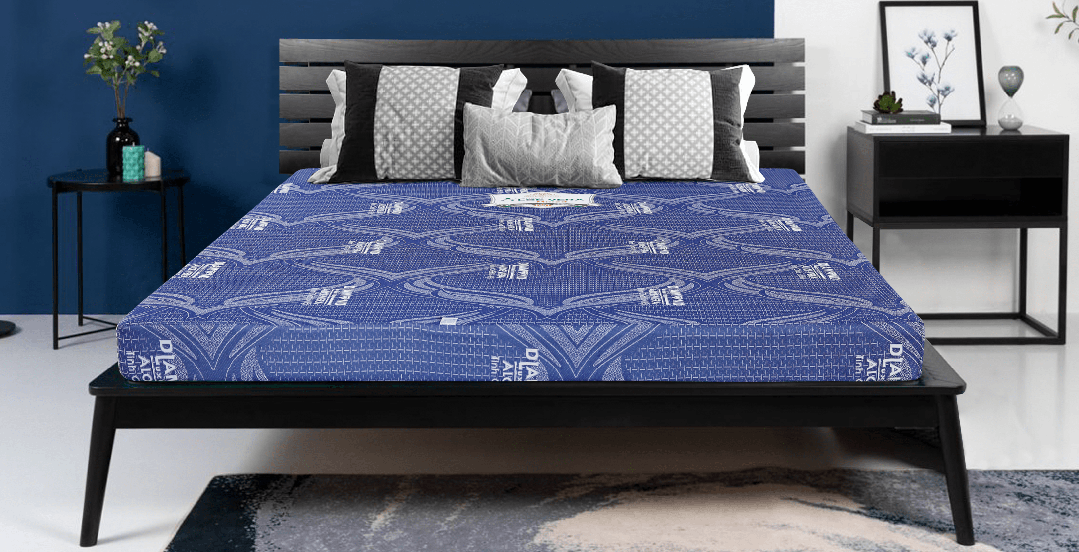 NỆM ALOE VERA MIXED - Ảnh 3