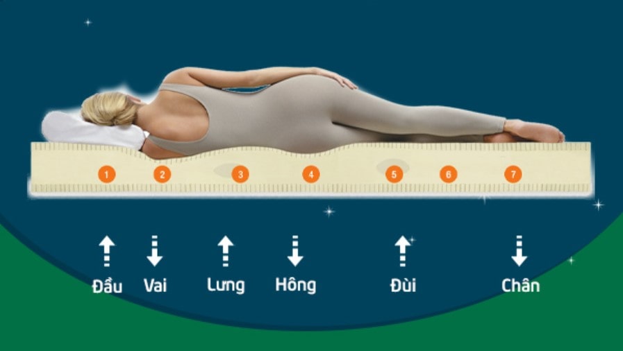 Nệm Cao Su Thiên Nhiên – Giải Pháp Tối Ưu Cho Người Đau Nhức Cơ Thể