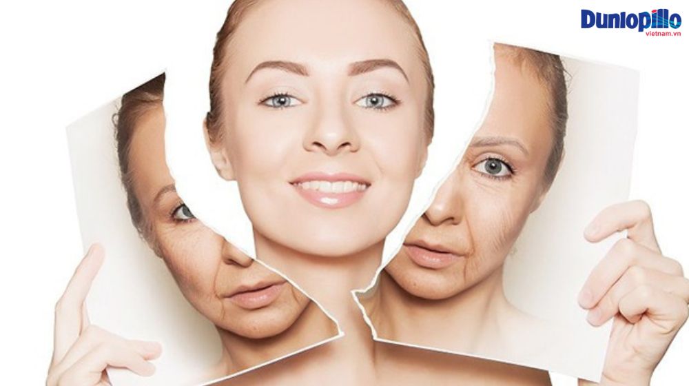 Những Lợi Ích Của Việc Đi Ngủ Đúng Giờ