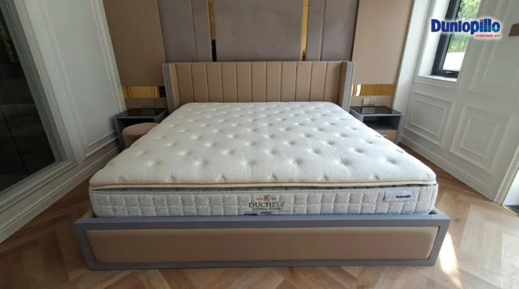 Nên Mua Nệm Cao Su Hay Nệm Lò Xo Của Dunlopillo?