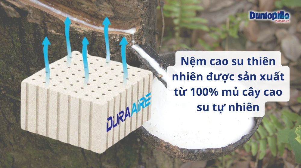 Nệm Cao Su Thiên Nhiên Và Cao Su Tổng Hợp: Nên Chọn Loại Nào Tốt Hơn?