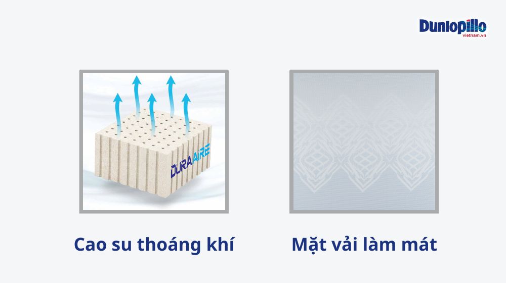 Thiết kế nệm cao su Dunlopillo có khả năng làm mát