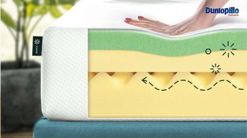 Top 7 Các Loại Nệm Thông Dụng Nhất Trên Thị Trường Hiện Nay