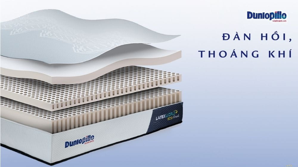 Nệm Dunlopillo Có Mấy Loại? Phân Biệt Các Dòng Nệm Dunlopillo Phổ Biến