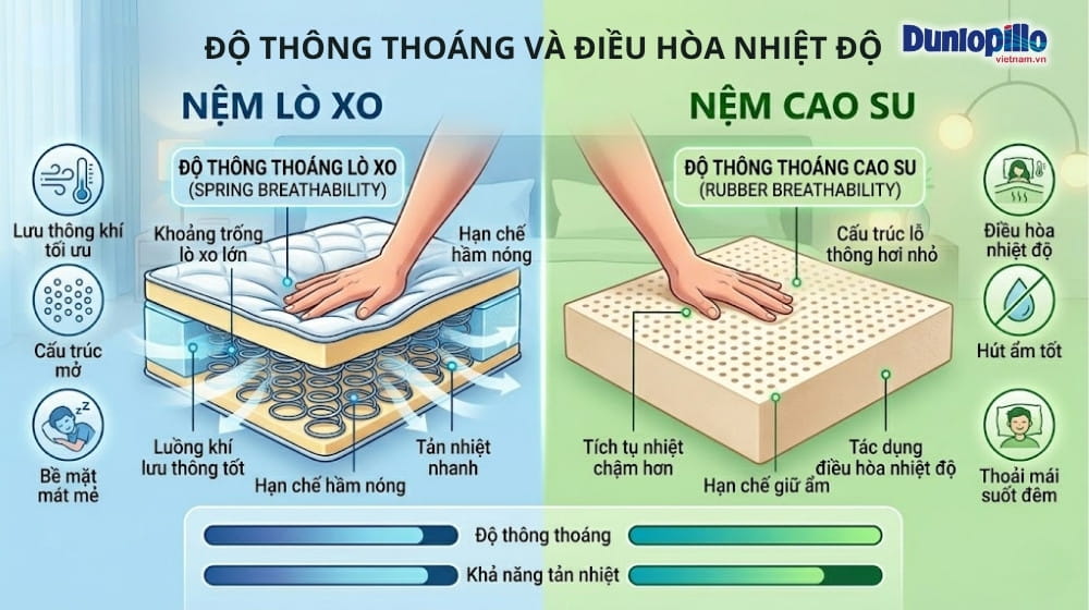 So sánh nệm lò xo và nệm cao su: Chọn loại nào phù hợp?