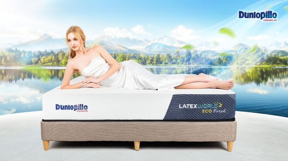 Nệm Dunlopillo Có Mấy Loại? Phân Biệt Các Dòng Nệm Dunlopillo Phổ Biến
