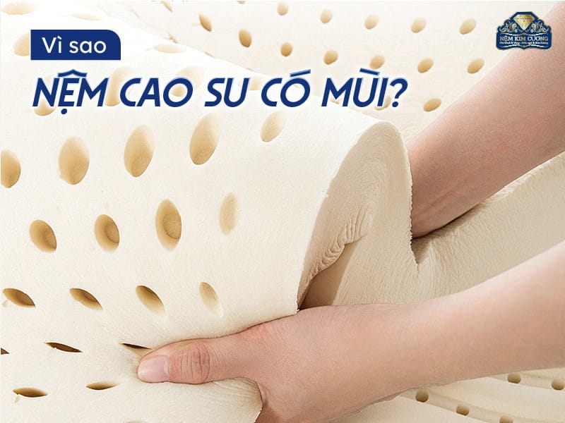 Bí Quyết Khử Mùi Nệm Cao Su Mới Bạn Cần Biết