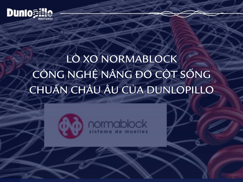 Lò Xo Normablock: Công Nghệ Nâng Đỡ Cột Sống Chuẩn Châu Âu Của Dunlopillo