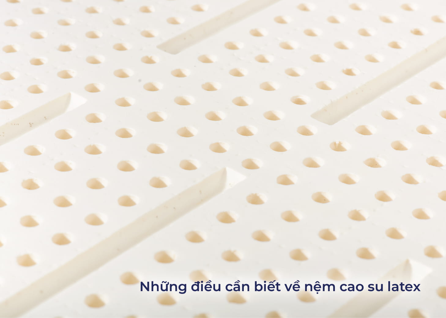 Latex Là Gì? Nệm Cao Su Latex Có Tốt Cho Sức Khỏe Không?
