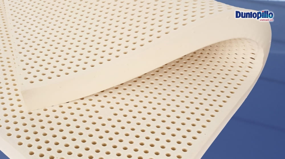 Nệm Dunlopillo 1m2 Giá Bao Nhiêu? Top Nệm Đơn Dunlopillo Đáng Mua