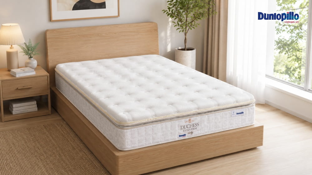 Nệm lò xo Dunlopillo Duchess
